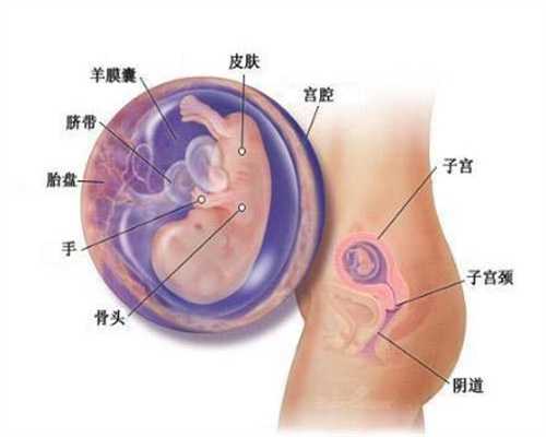 上海靠谱的供卵代怀孕,上海替别人生孩子给多少
