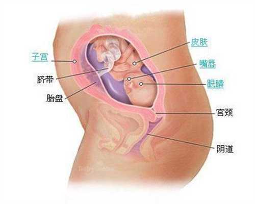 成都代孕怎么开出生证明，成都试管双胞胎多少