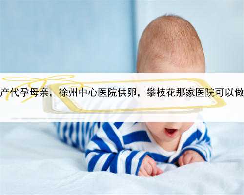 世界最高产代孕母亲，徐州中心医院供卵，攀枝花那家医院可以做试管婴儿