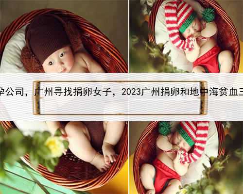 哪里有正规的代孕公司，广州寻找捐卵女子，2023广州捐卵和地中海贫血三代试
