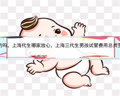 试管代孕包成功是合法的吗，上海代生哪家放心，上海三代生男孩试管费用总共