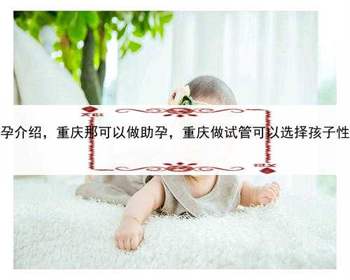 人工代孕介绍，重庆那可以做助孕，重庆做试管可以选择孩子性别吗？