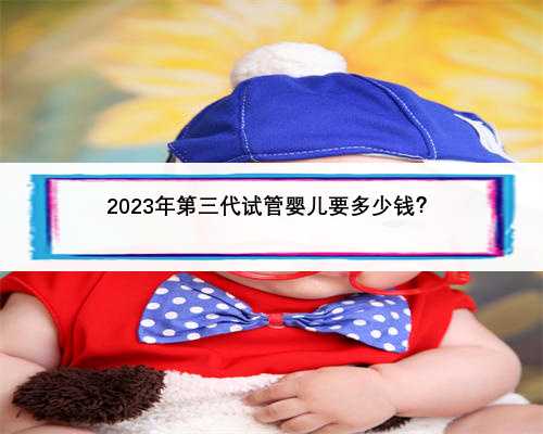 2023年第三代试管婴儿要多少钱？