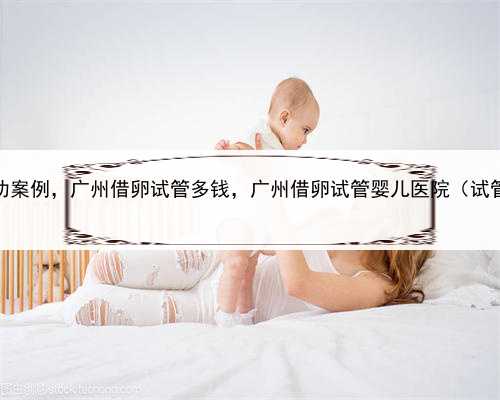 代孕真实成功案例，广州借卵试管多钱，广州借卵试管婴儿医院（试管婴儿借卵
