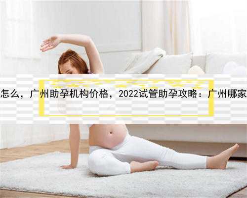 做试管代孕成功率怎么，广州助孕机构价格，2022试管助孕攻略：广州哪家试管